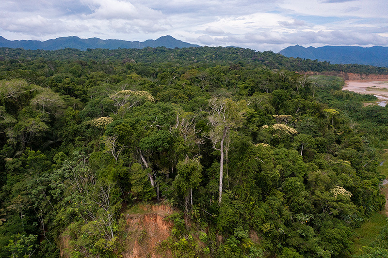 explore-bolivia-travel-home-madidi