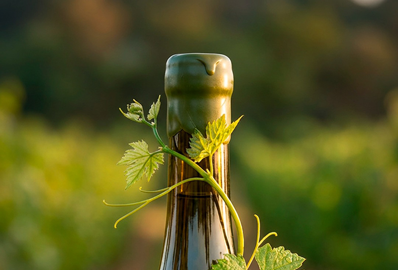 explore-bolivia-travel-home-tarija