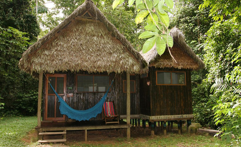 madidi-explore-bolivia-travel-ecolodge
