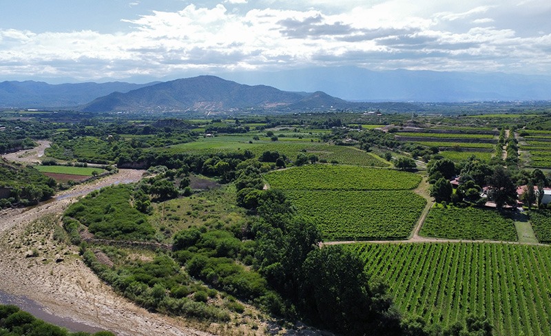 tarija-explore-bolivia-travel-vineyard